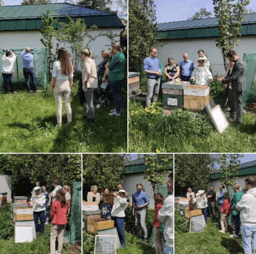 Vom Büro zum Bienenstock