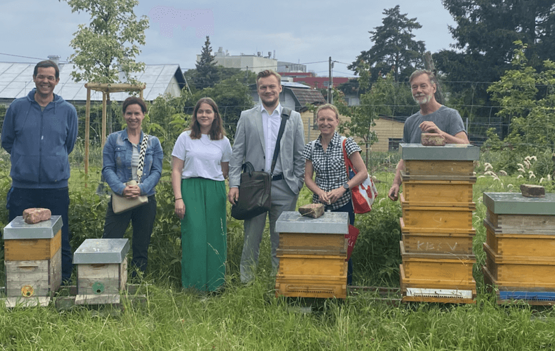 Bienenwissen zum Anfassen