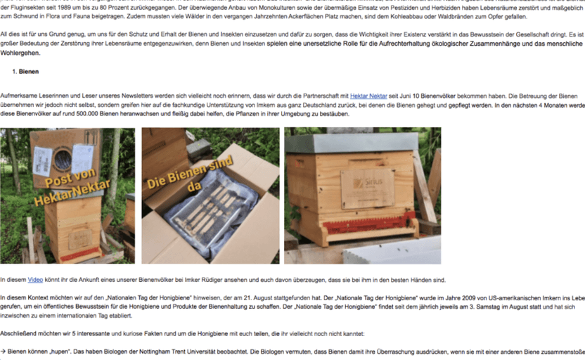 Newsletter mit Wirkung