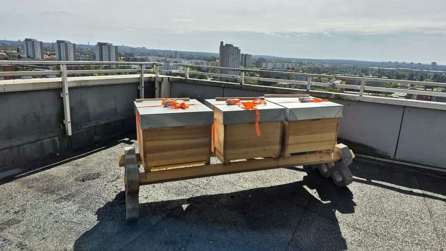 Berlinovo Immobilien Gesellschaft mbH