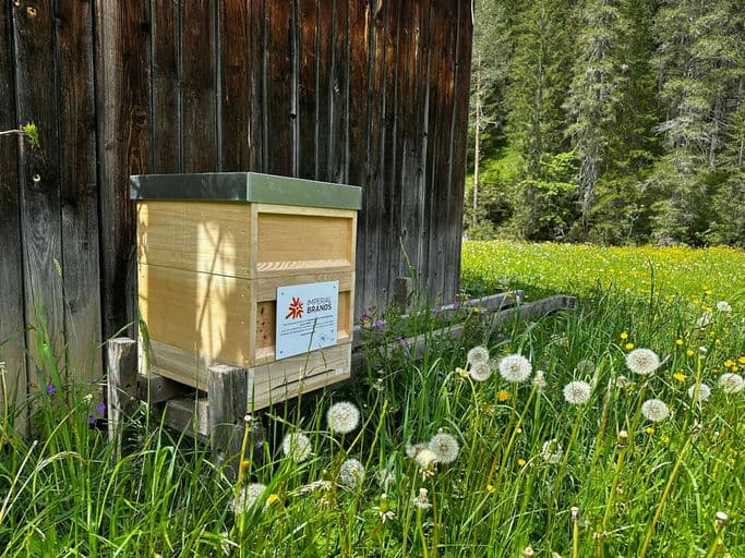 Imperial Tobacco Austria Marketing Services GmbH