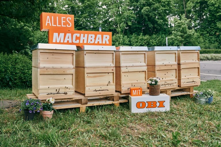 OBI Group Holding SE & Co. KGaA