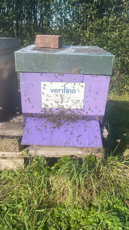 Verifino GmbH & Co. KG